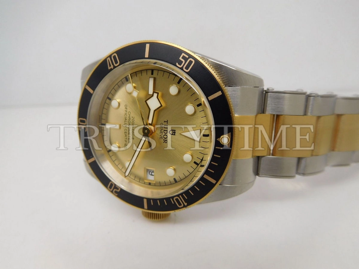 Копия часов Tudor Heritage Black Bay Black S&G 41mm M79733N-0004