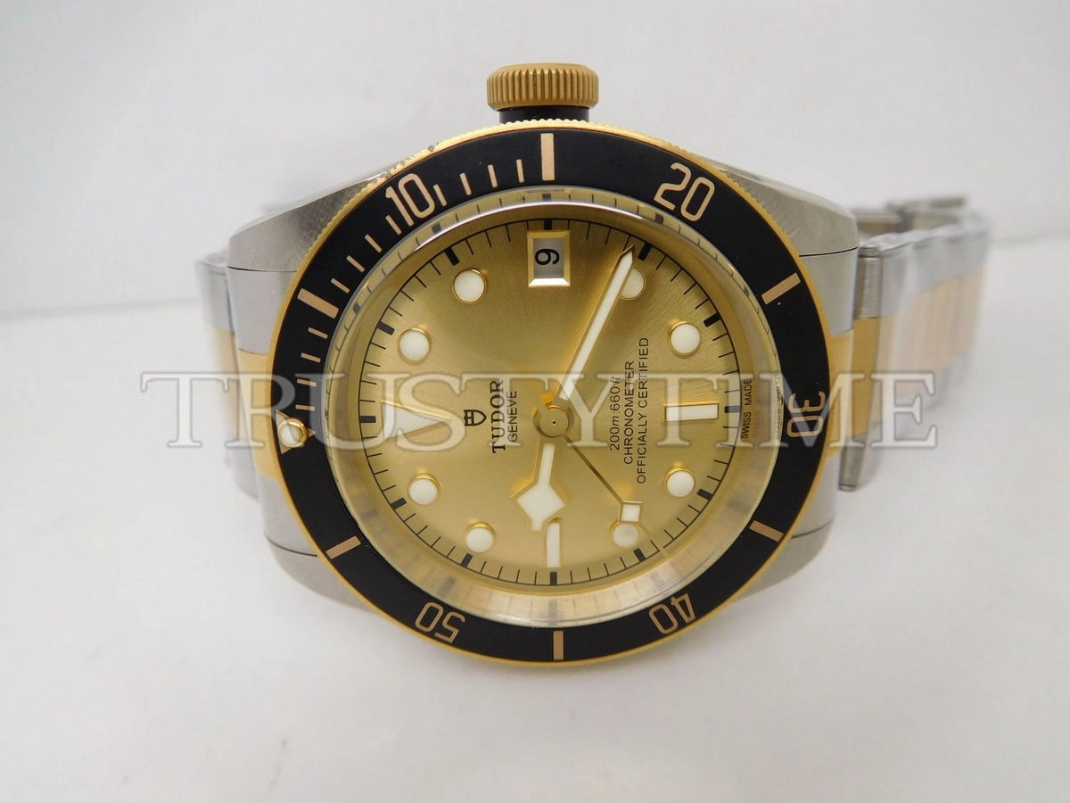 Копия часов Tudor Heritage Black Bay Black S&G 41mm M79733N-0004